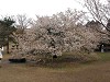 DSCN4912_thumb.jpg