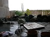 DSCN4943_thumb.jpg