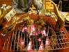 DSCN4973_thumb.jpg