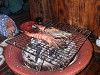 DSCN4979_thumb.jpg