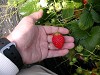 DSCN4992_thumb.jpg