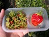 DSCN4995_thumb.jpg