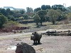 DSCN4997_thumb.jpg