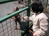 DSCN4998_thumb.jpg