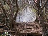 DSCN5010_thumb.jpg