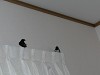 DSCN5228_thumb.jpg