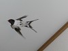 DSCN5232_thumb.jpg