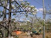 DSCN5248_thumb.jpg