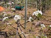 DSCN5249_thumb.jpg