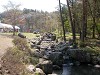 DSCN5253_thumb.jpg
