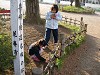 DSCN5288_thumb.jpg