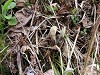 DSCN5307_thumb.jpg