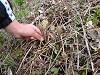 DSCN5308_thumb.jpg