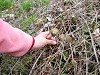 DSCN5309_thumb.jpg