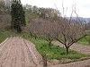 DSCN5310_thumb.jpg