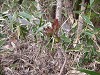 DSCN5312_thumb.jpg