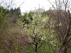 DSCN5313_thumb.jpg
