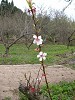 DSCN5315_thumb.jpg