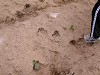 DSCN5316_thumb.jpg