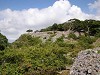 DSCN6657_thumb.jpg
