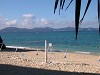 DSCN6738_thumb.jpg