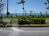 DSCN6783_thumb.jpg