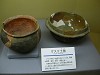 DSCN6881_thumb.jpg