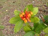 DSCN6886_thumb.jpg