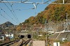 DSC_0011_thumb.jpg