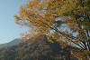 DSC_0016_thumb.jpg