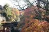 DSC_0025_thumb.jpg