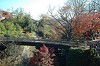 DSC_0031_thumb.jpg