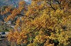 DSC_0047_thumb.jpg