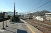 DSC_0081_thumb.jpg