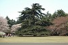 DSC_0005_thumb.jpg