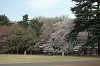 DSC_0006_thumb.jpg