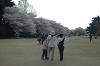 DSC_0010_thumb.jpg