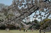DSC_0018_thumb.jpg