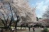 DSC_0027_thumb.jpg