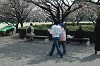 DSC_0031_thumb.jpg