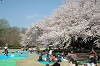 DSC_0034_thumb.jpg