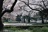DSC_0042_thumb.jpg