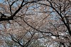DSC_0073_thumb.jpg