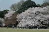 DSC_0075_thumb.jpg