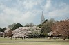 DSC_0076_thumb.jpg