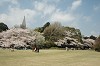 DSC_0078_thumb.jpg