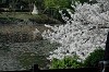 DSC_0098_thumb.jpg