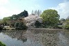 DSC_0101_thumb.jpg