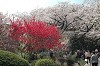 DSC_0109_thumb.jpg