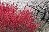 DSC_0111_thumb.jpg